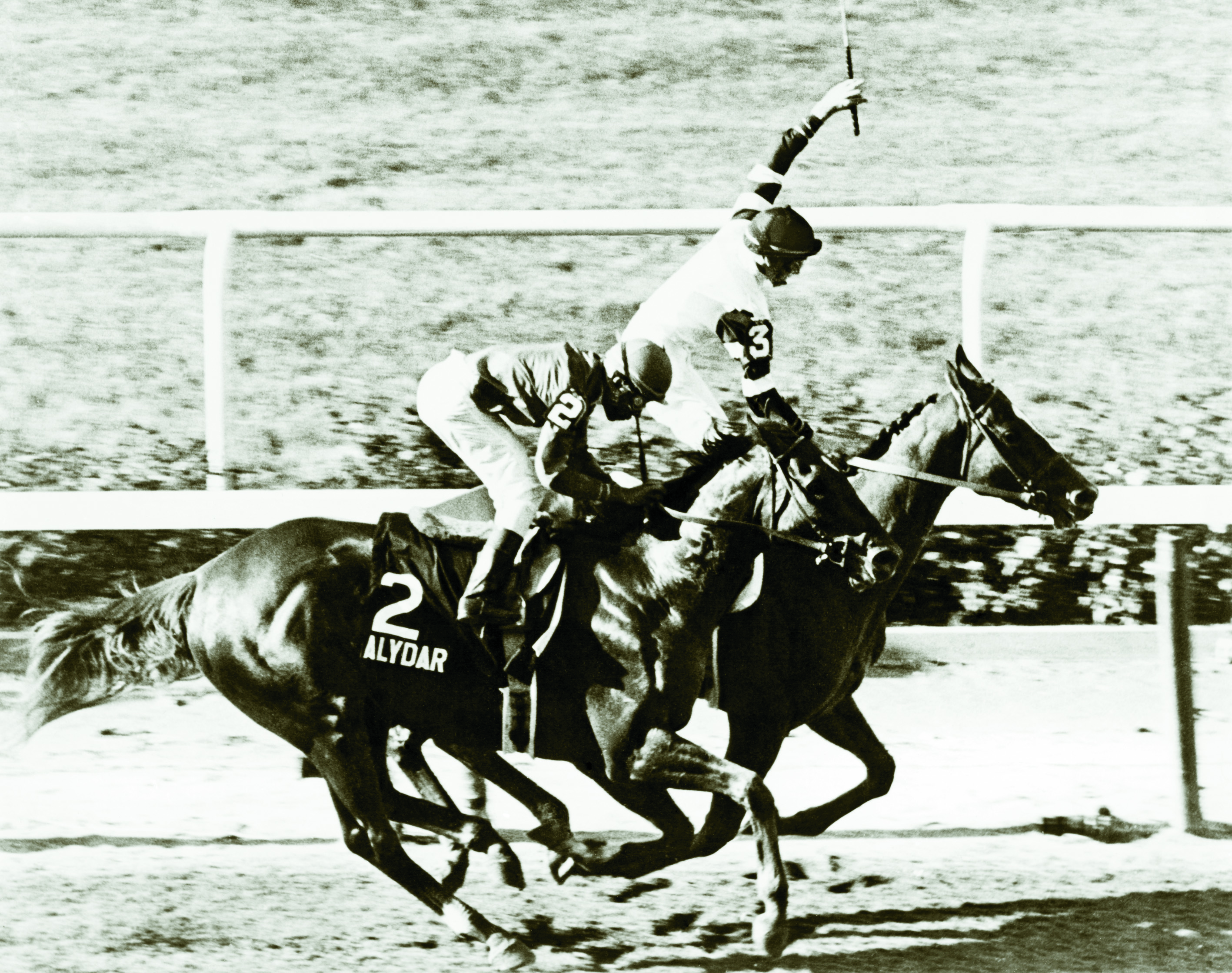 The Sport’s Great Rivalries Affirmed and Alydar America's Best Racing