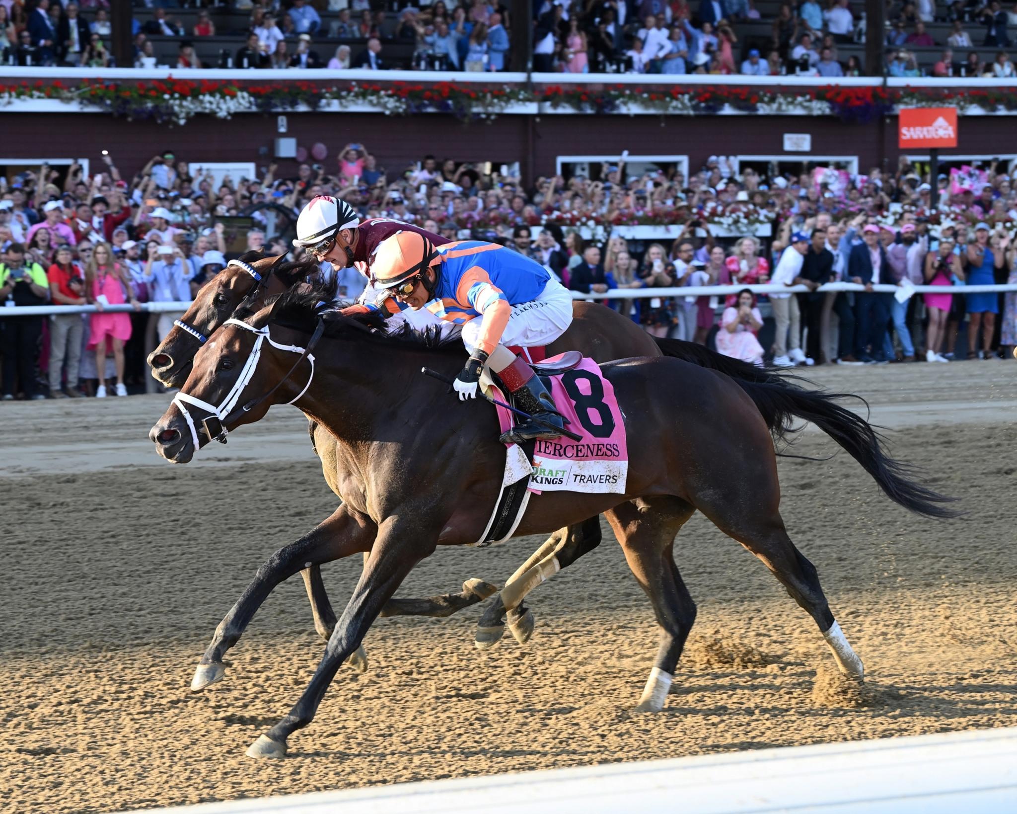 SLIDESHOW: Meet the Contenders for the 2024 Breeders' Cup Classic