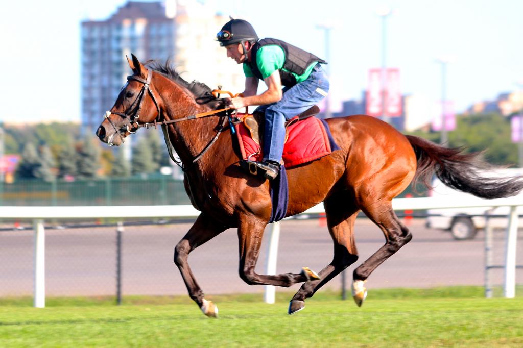 Woodbine Diaries A Perfect First Day in Toronto America's Best Racing
