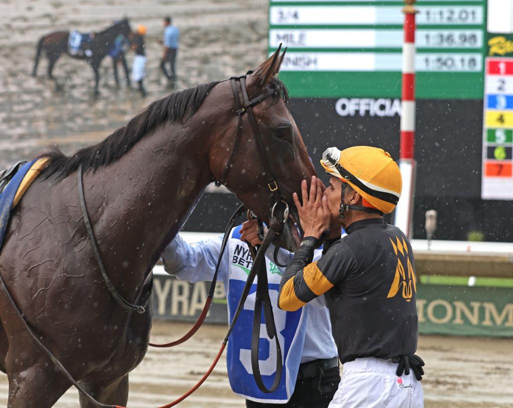 Haskell Stakes winner Baby Vino (Bill Denver/EQUI-PHOTO)