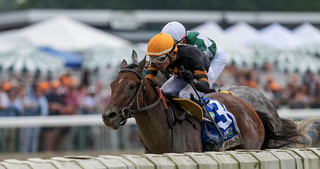 Haskell Stakes winner Baby Vino (Eclipse Sportswire)
