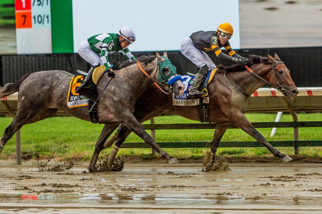 Haskell Stakes winner Baby Vino (Eclipse Sportswire)