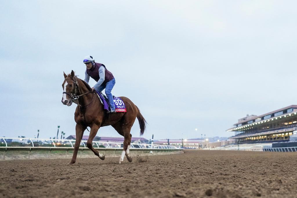 Multiple prize stakes winner Vanishing (Eclipse Sportswire)