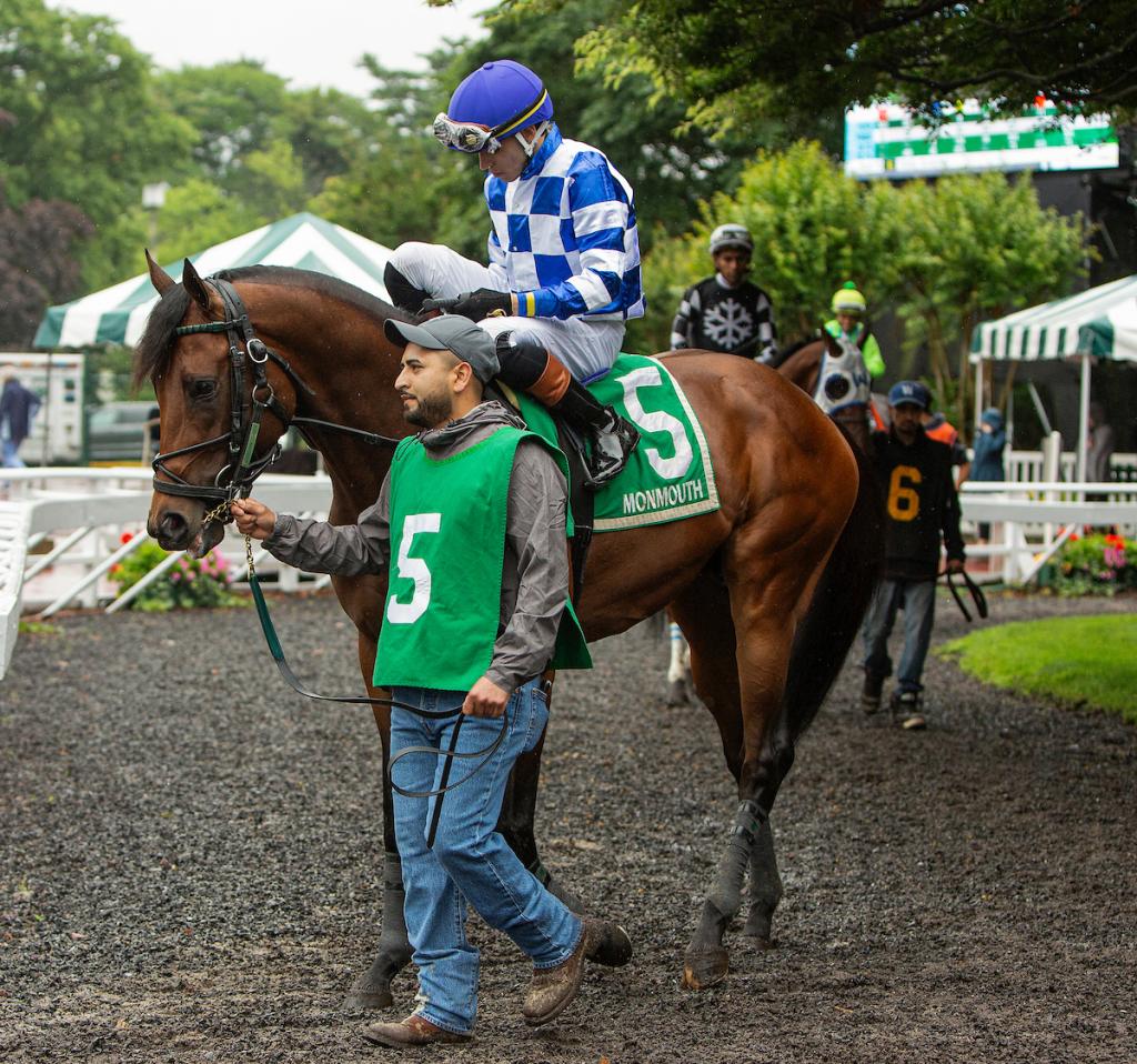 Grade 3-placed stakes winner Bracket Buster. (Eclipse Sportswire)