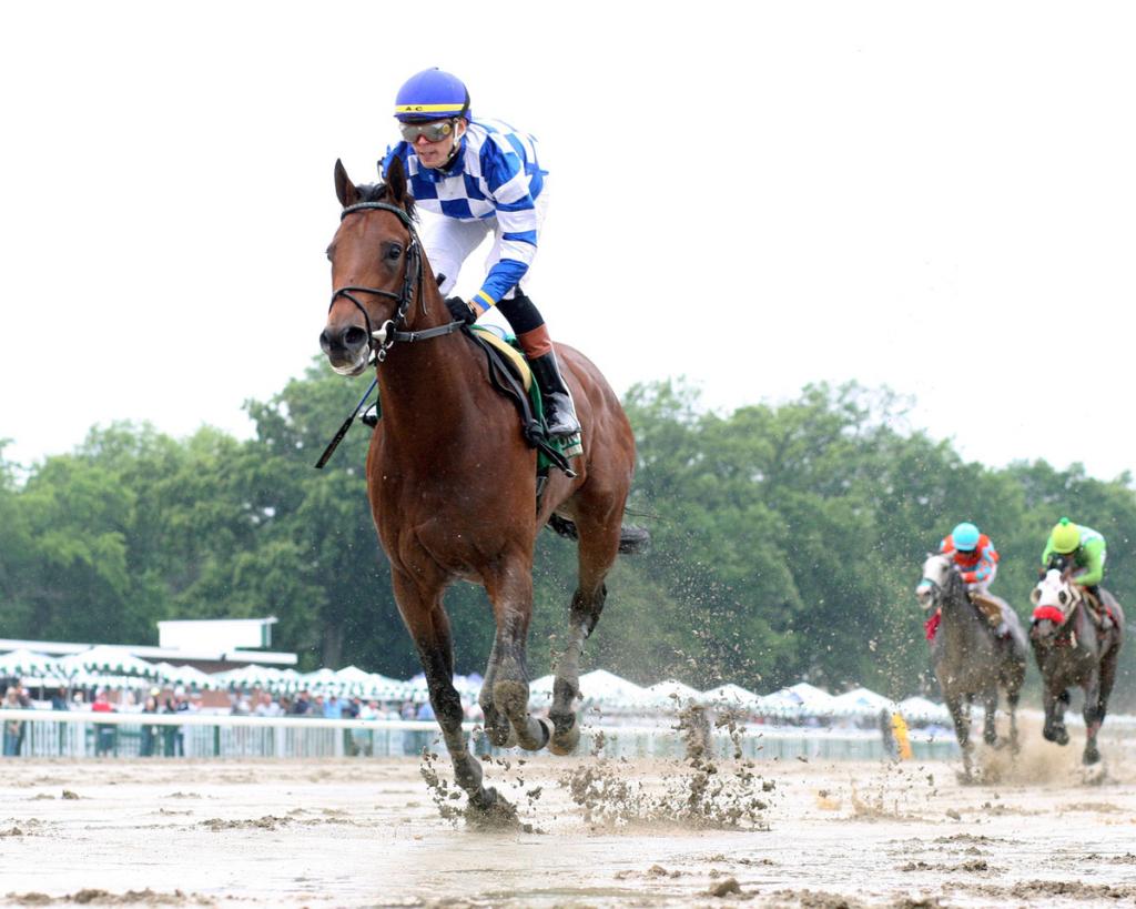 Grade 3-placed stakes winner Bracket Buster. (Bill Denver/EQUI-PHOTO)