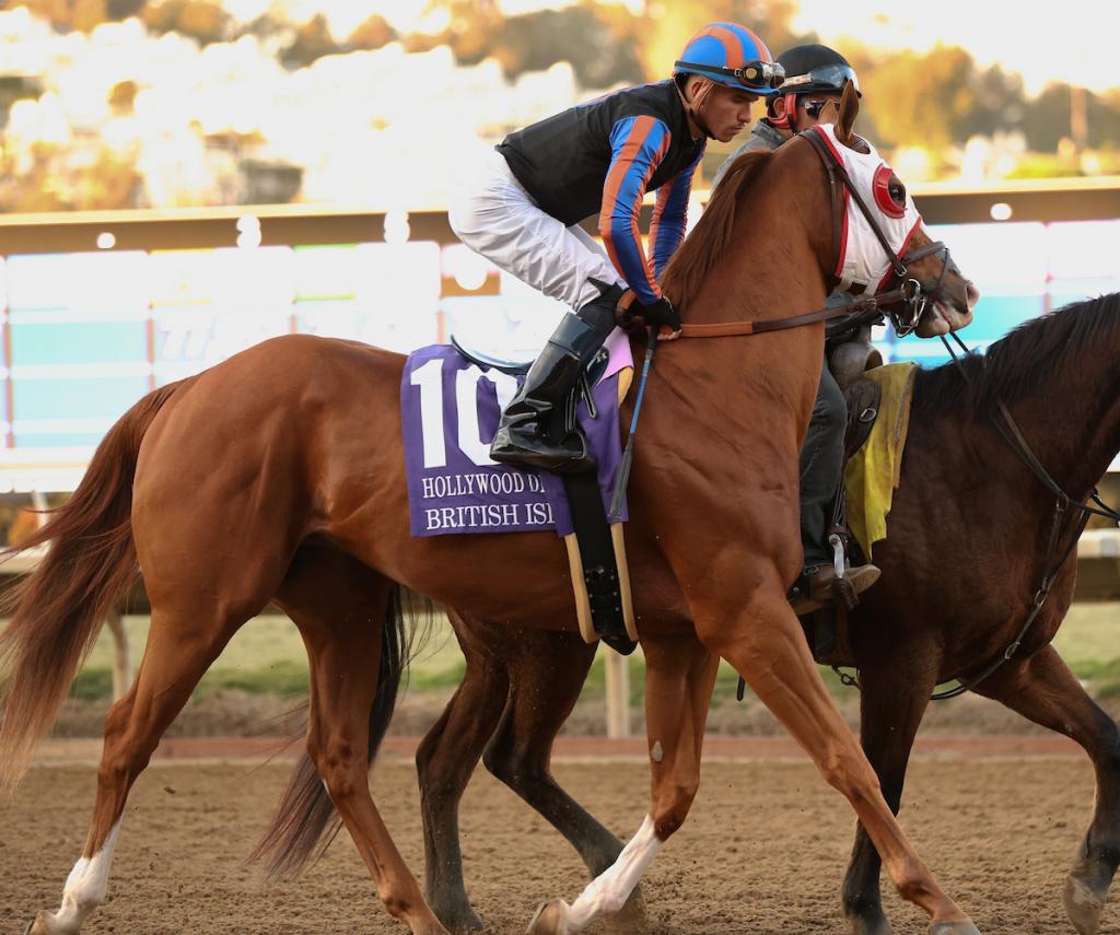 Native Diver Stakes runner-up British Isles (Eclipse Sportswire)