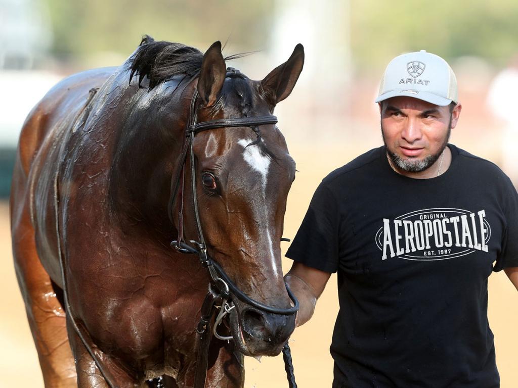 Graded 3rd Place Multiple Stakes Winner Brotha Kenny (Coady Media)