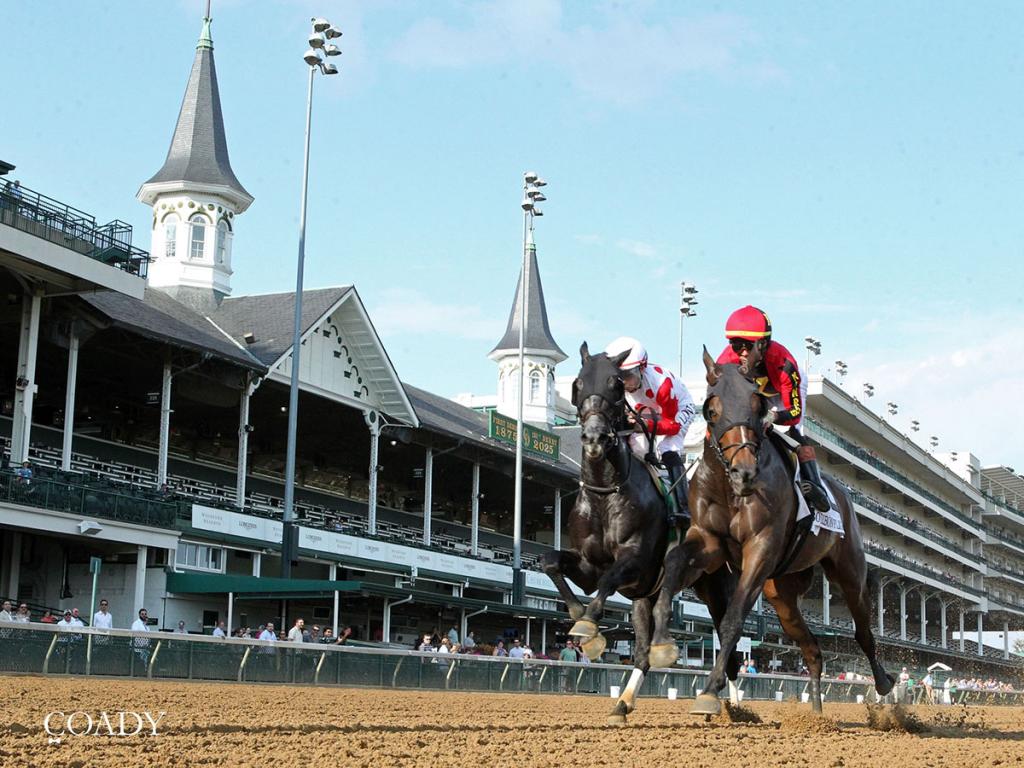 Graded 3rd Place Multiple Stakes Winner Brotha Kenny (Coady Media)