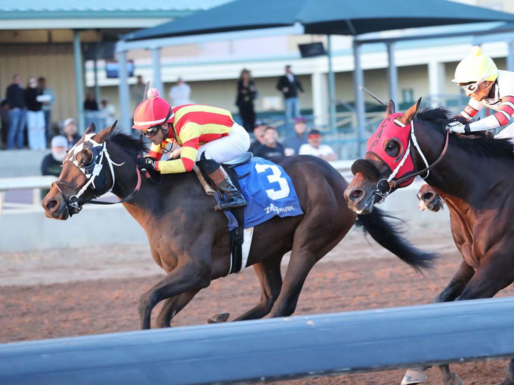 Graded 3rd Place Multiple Stakes Winner Brotha Kenny (Coady Media)