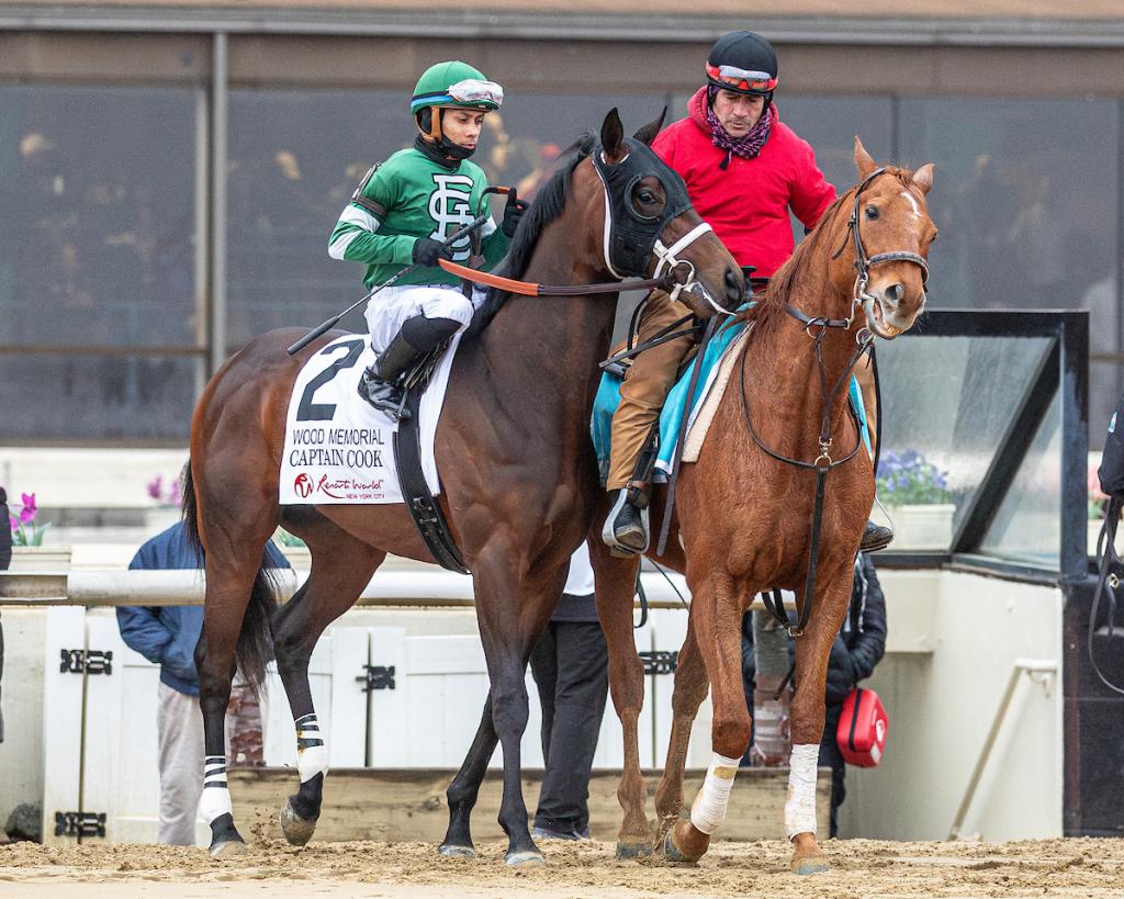 Grade 1 Stakes Winner Captain Cook (Eclipse Sportswire)