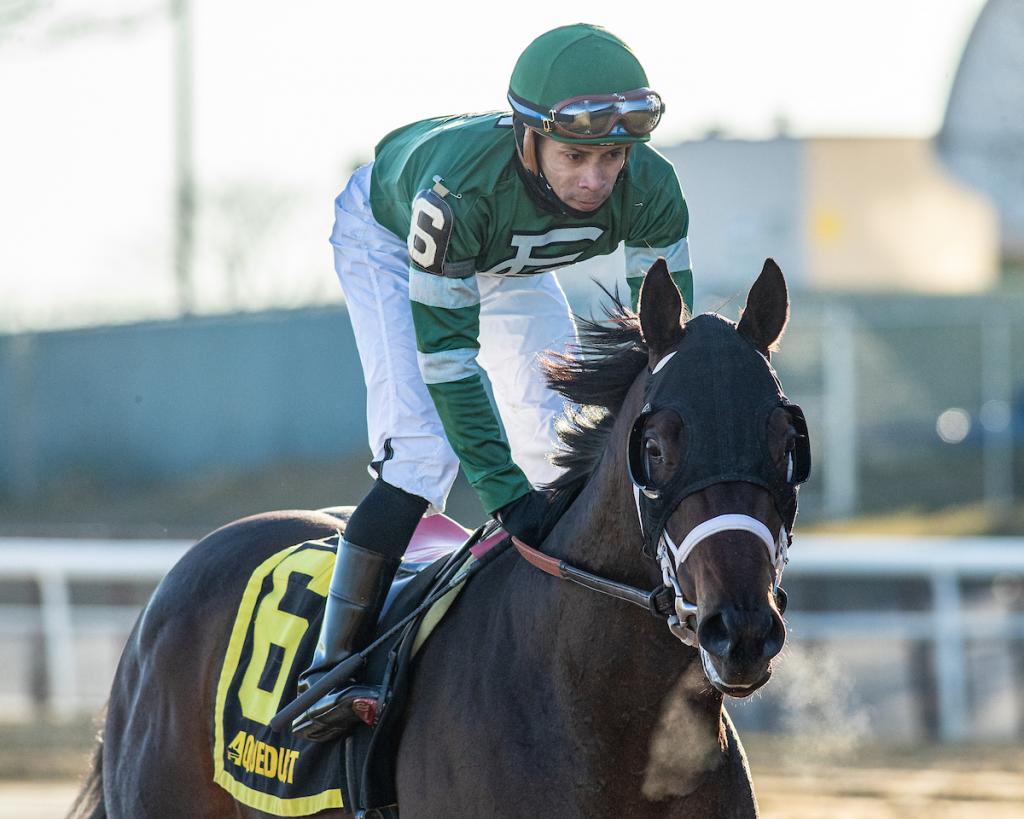 Grade 1 Stakes Winner Captain Cook (Eclipse Sportswire)