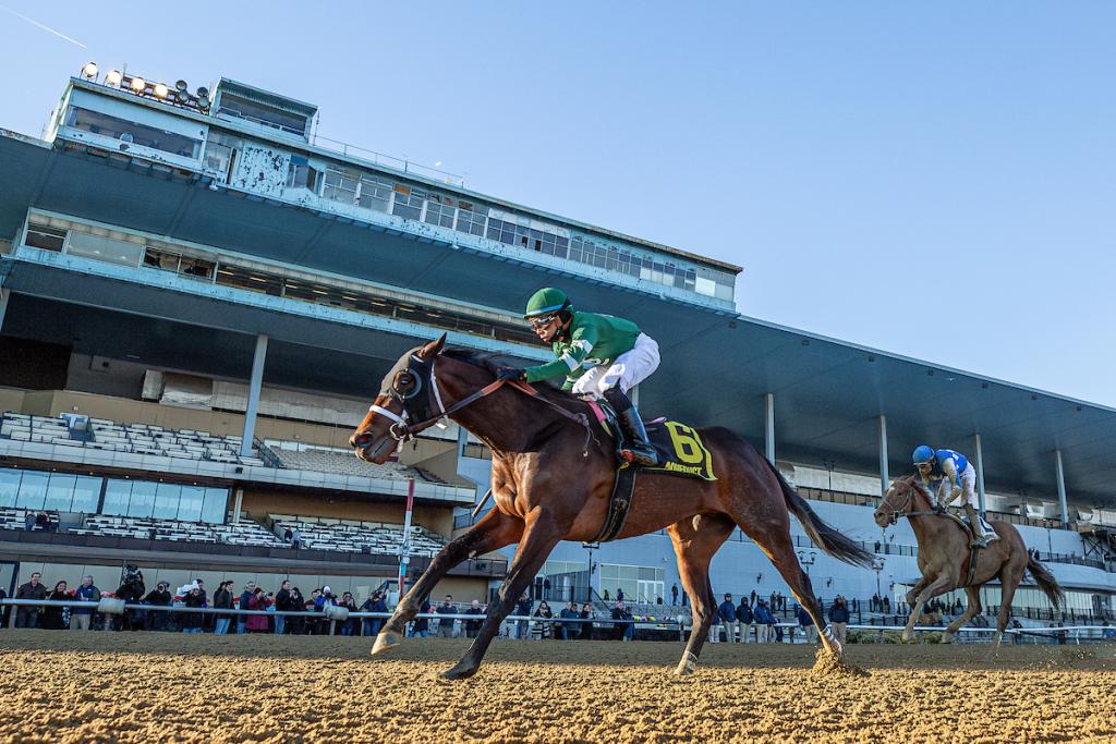 Grade 1 Stakes Winner Captain Cook (Eclipse Sportswire)