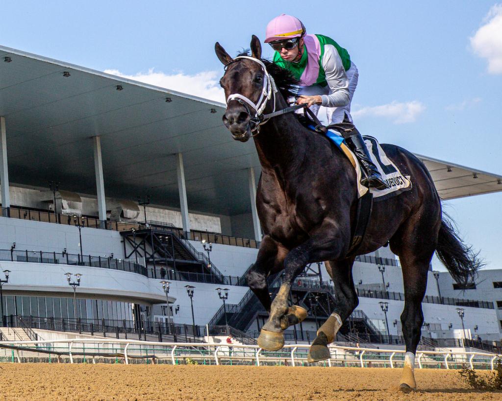 Undefeated major prize winner Disco Time (Eclipse Sportswire)