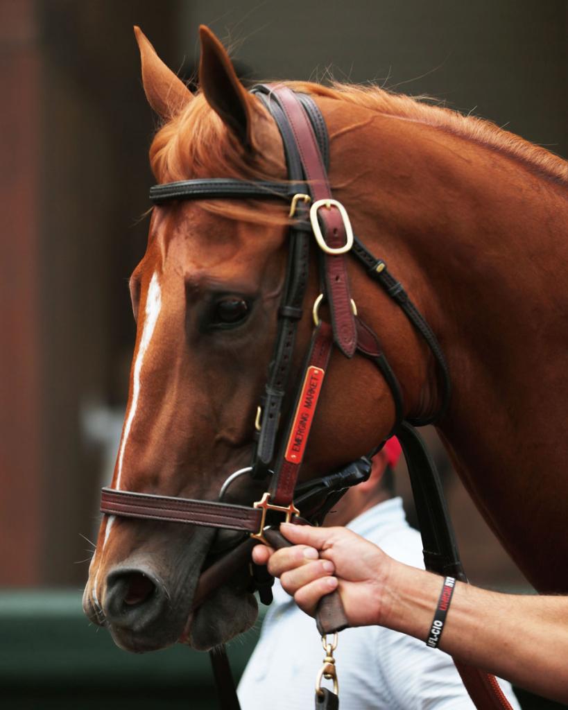 Louisiana Derby winner Emerging Market (Coady Media)