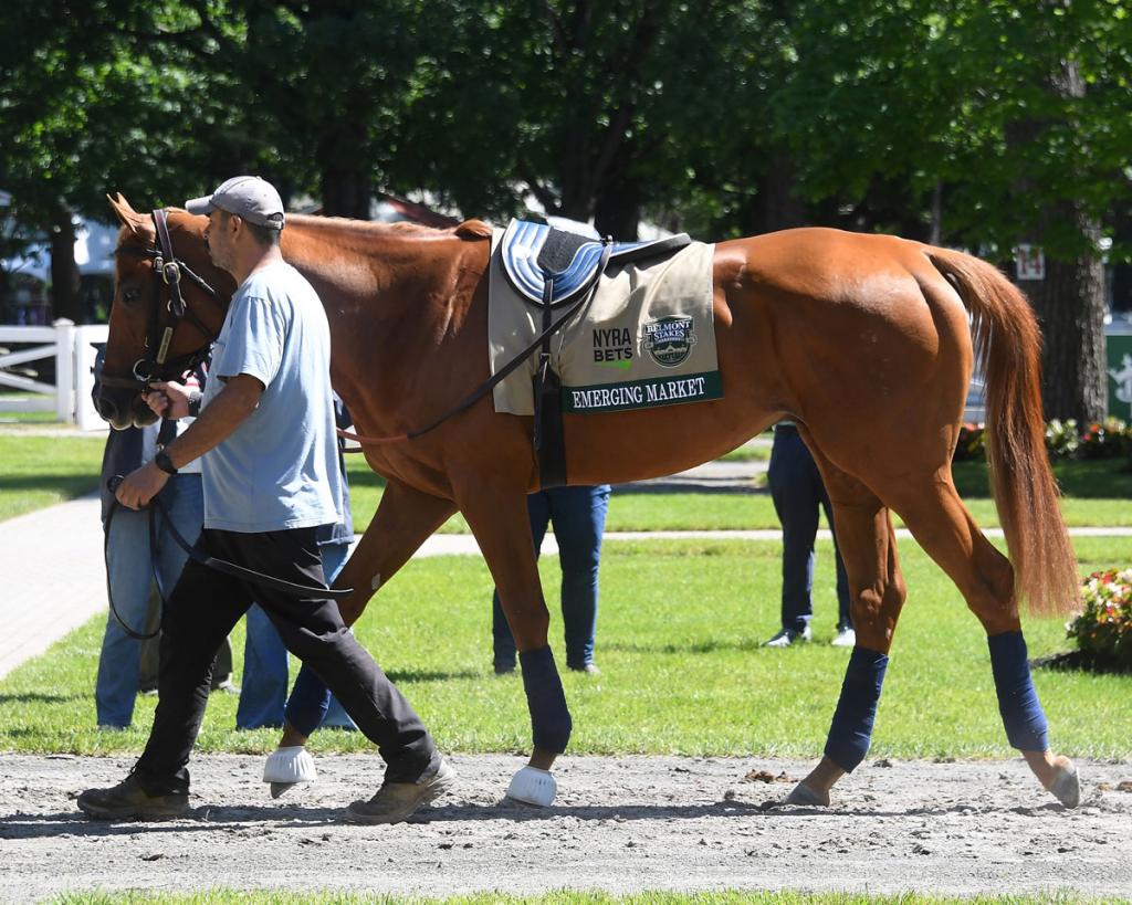 Louisiana Derby winner Emerging Market (Coglianese Photos/Susie Raisher)