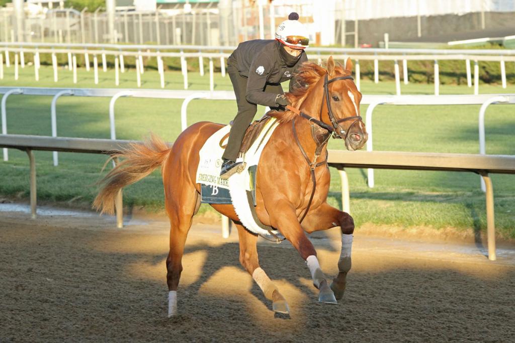 Louisiana Derby winner Emerging Market (Coady Media)