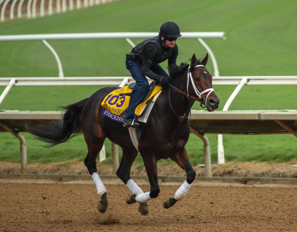 Multiple Grade 1 winner Fierceness, runner-up in the 2024 Breeders' Cup Classic (Eclipse Sportswire)