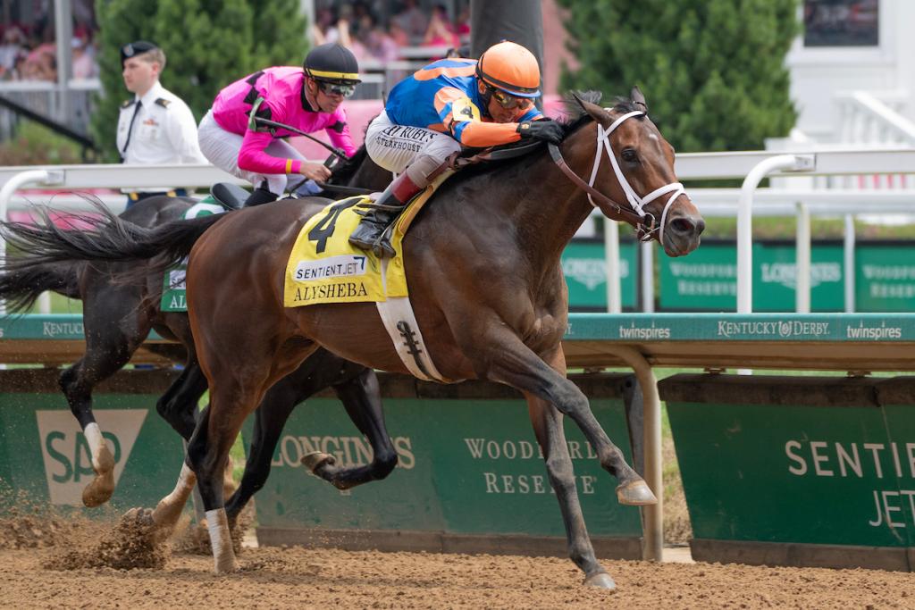 Multiple Grade 1 winner Fierceness, runner-up in the 2024 Breeders' Cup Classic (Eclipse Sportswire)
