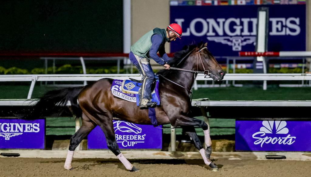 2024 Breeders' Cup Dirt Mile Winner Furserano (Eclipse Sportswire)
