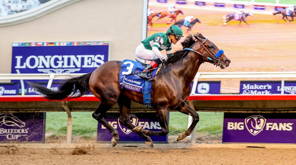 2024 Breeders' Cup Dirt Mile Winner Furserano (Eclipse Sportswire)