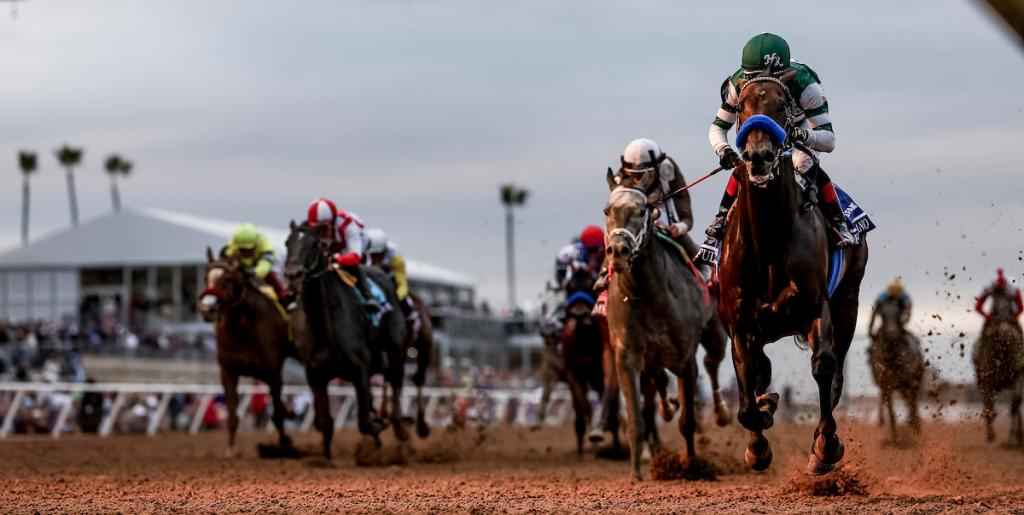 2024 Breeders' Cup Dirt Mile Winner Furserano (Eclipse Sportswire)