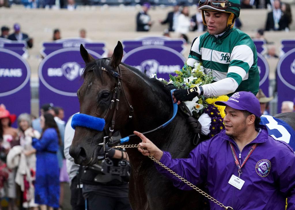 2024 Breeders' Cup Dirt Mile Winner Furserano (Eclipse Sportswire)