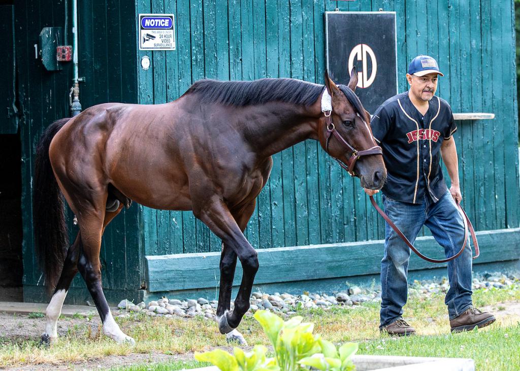 Kentucky Derby and Belmont Stakes winner Golden Tempo (Eclipse Sportswire)