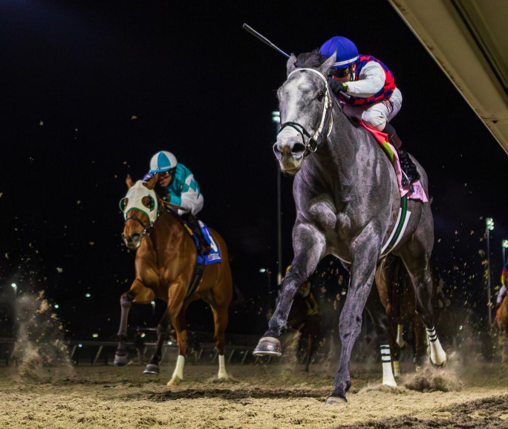 SLIDESHOW: Meet the 2026 Preakness Stakes Horses | America's Best Racing