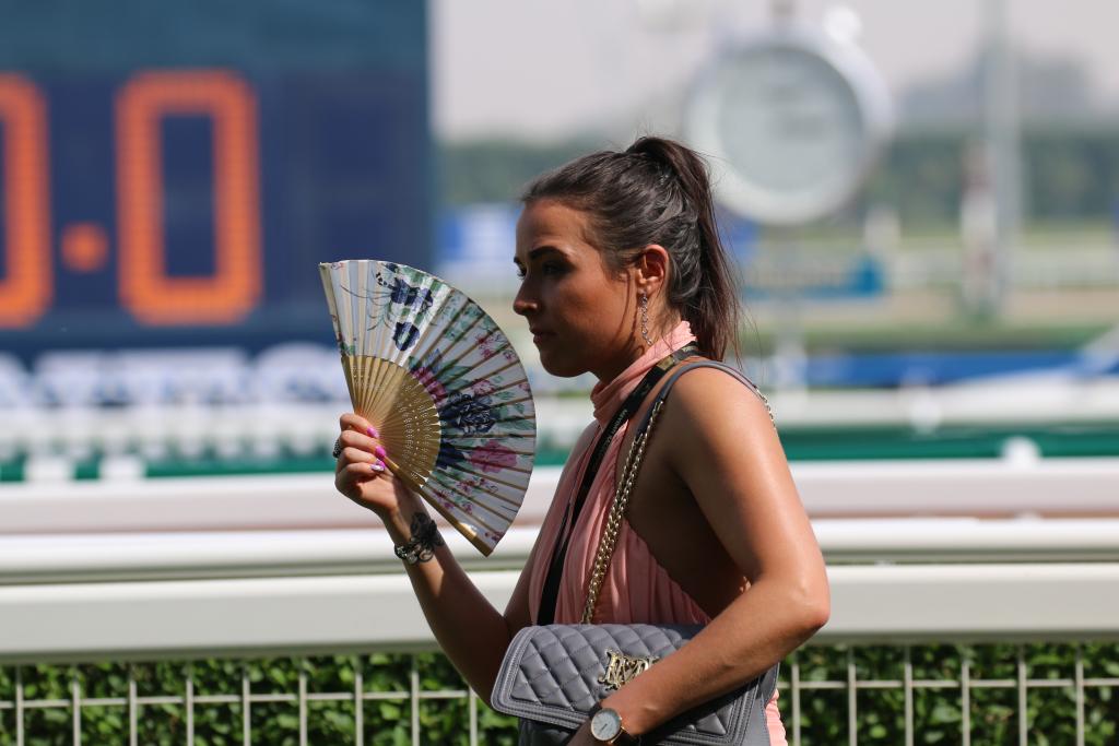 Penelope P. Miller/America's Best Racing