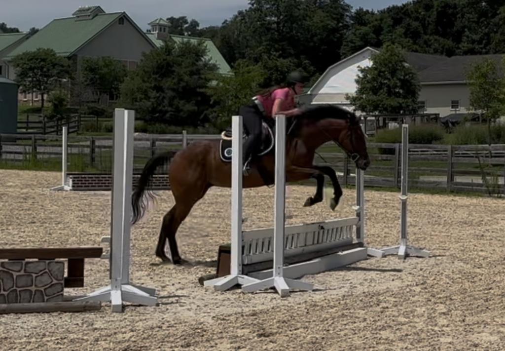Teddy Spaghetti and Grace Hammer schooling off property in preparation for our first away show later this month. (Courtesy of Caitlan Brooks)