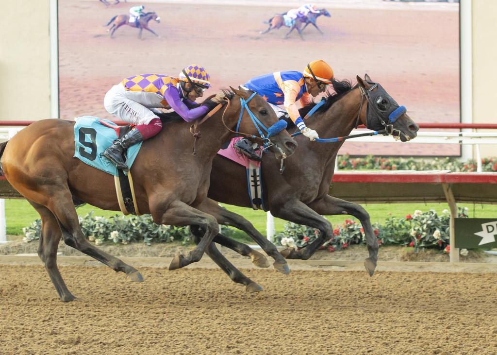 Grade 3-placed Indispensable