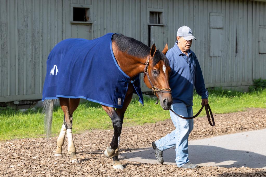Preakness Stakes winner Journalism (Eclipse Sportswire)