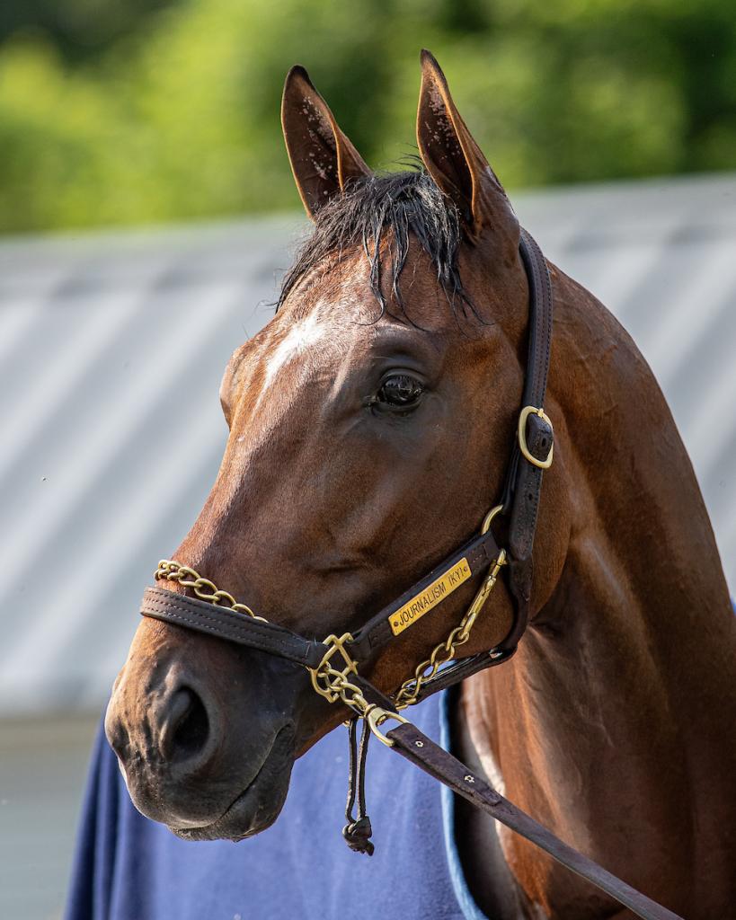 Preakness Stakes winner Journalism (Eclipse Sportswire)