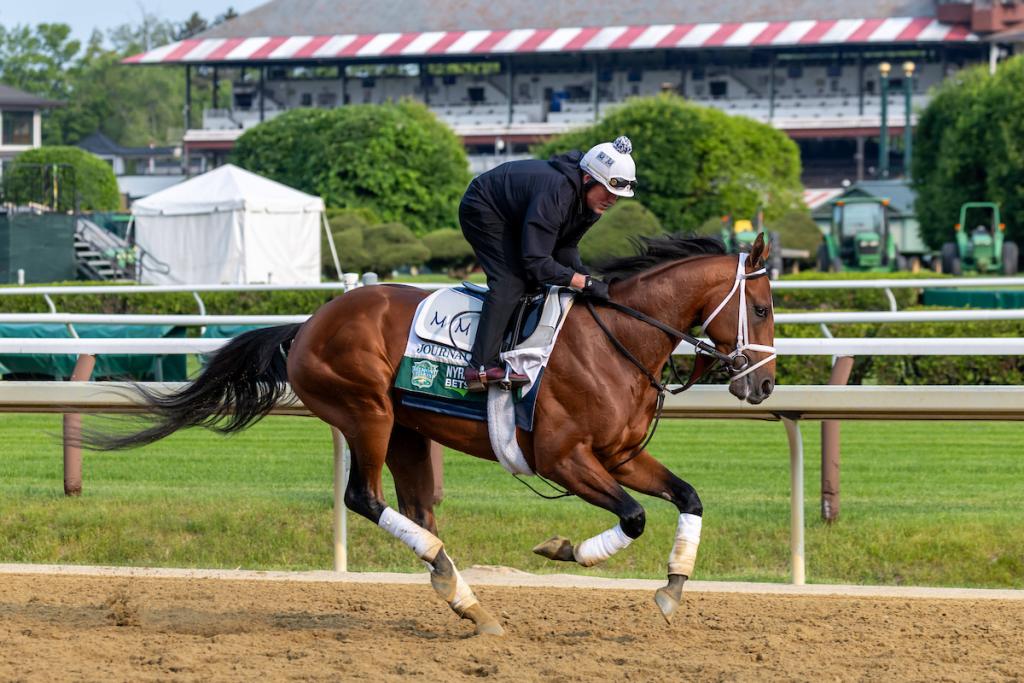 Preakness Stakes winner Journalism (Eclipse Sportswire)