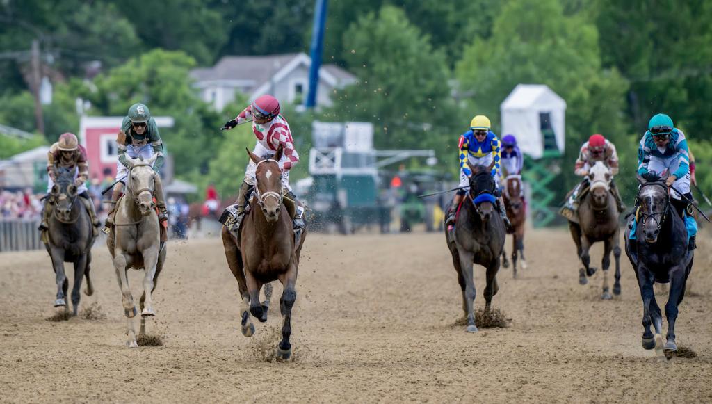 Preakness Stakes winner Journalism (Eclipse Sportswire)