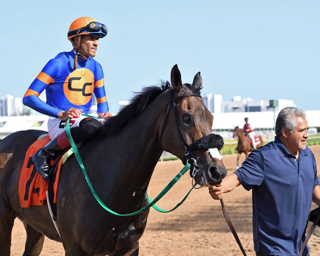 Multiple stakes winner Lure Him In