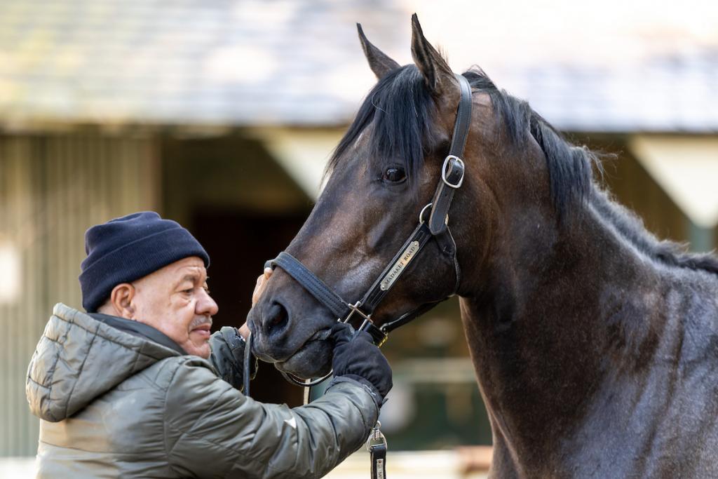 Grade 1 Madaket Road (Eclipse Sportswire)