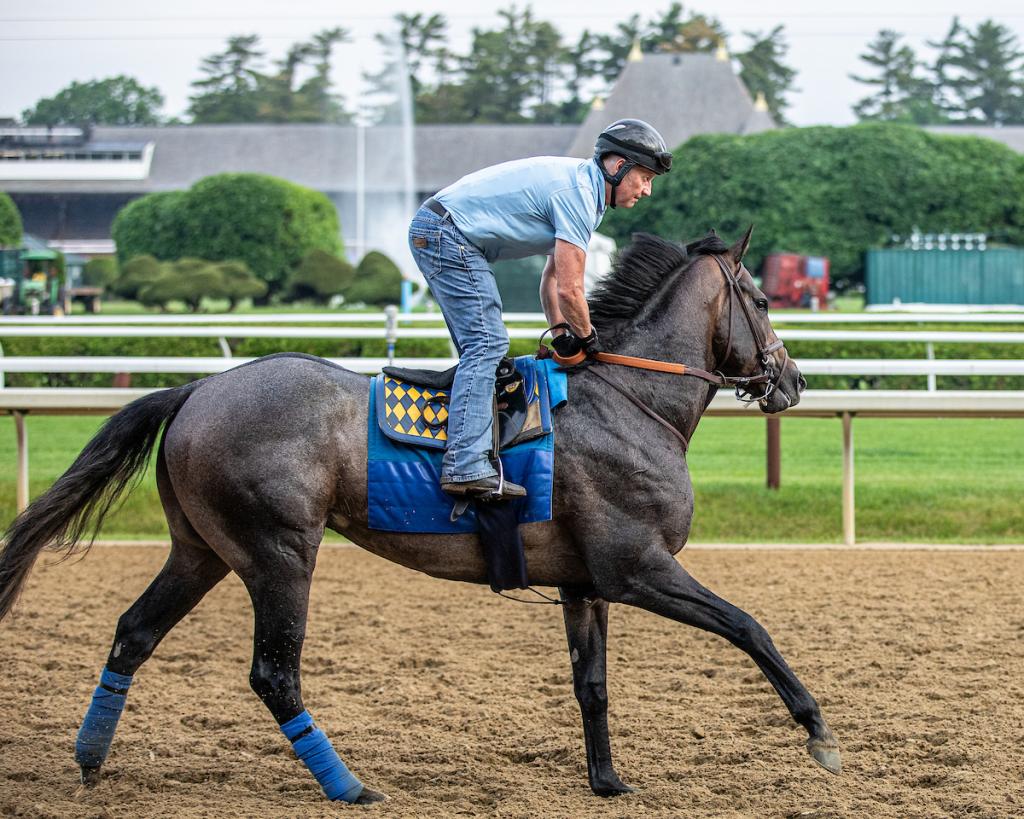 Grade 1 Madaket Road (Eclipse Sportswire)