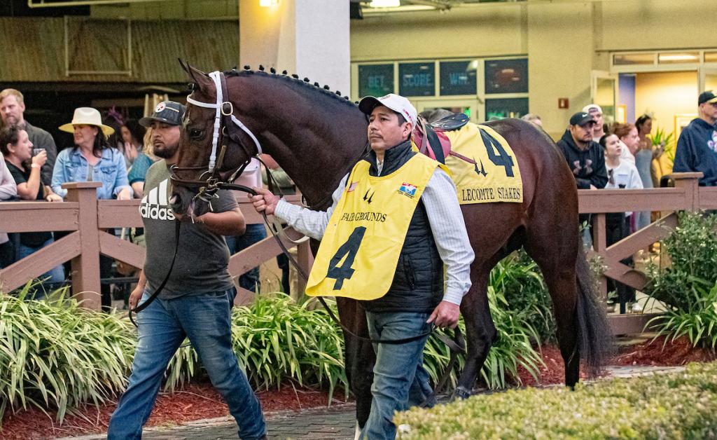 Risen Star Stakes and Iowa Derby winner Magnitude. (Eclipse Sportswire)