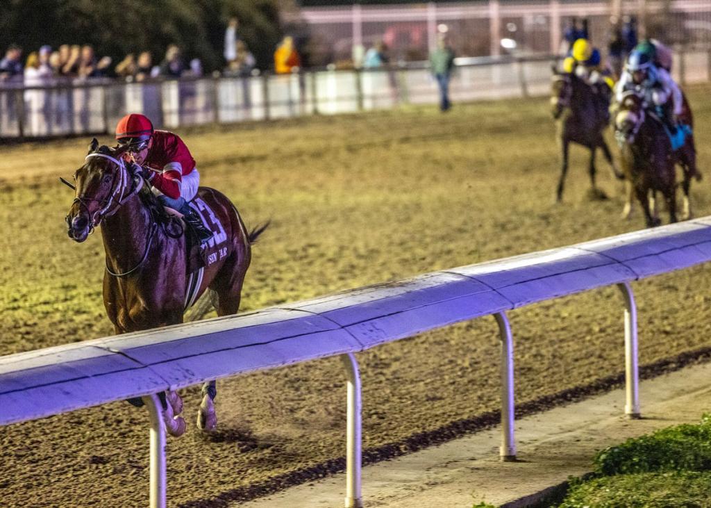 Risen Star Stakes and Iowa Derby winner Magnitude. (Amanda Hodges Weir/Hodges Photography)