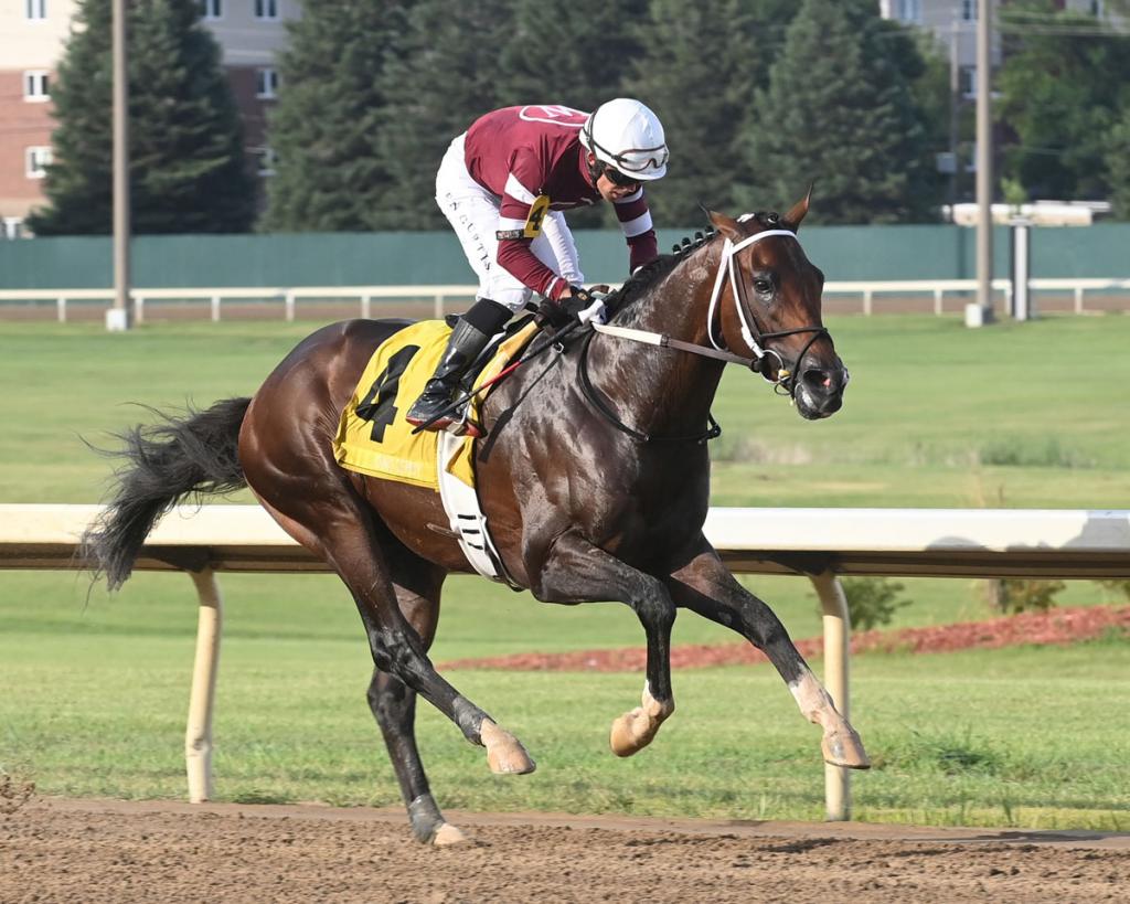 Risen Star Stakes and Iowa Derby winner Magnitude. (Coady Photography)
