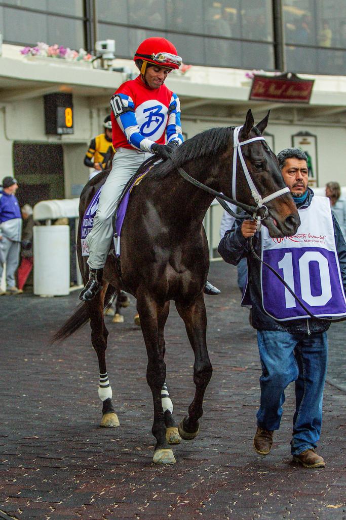 West Virginia Derby runner-up McAfee. (Eclipse Sportswire)