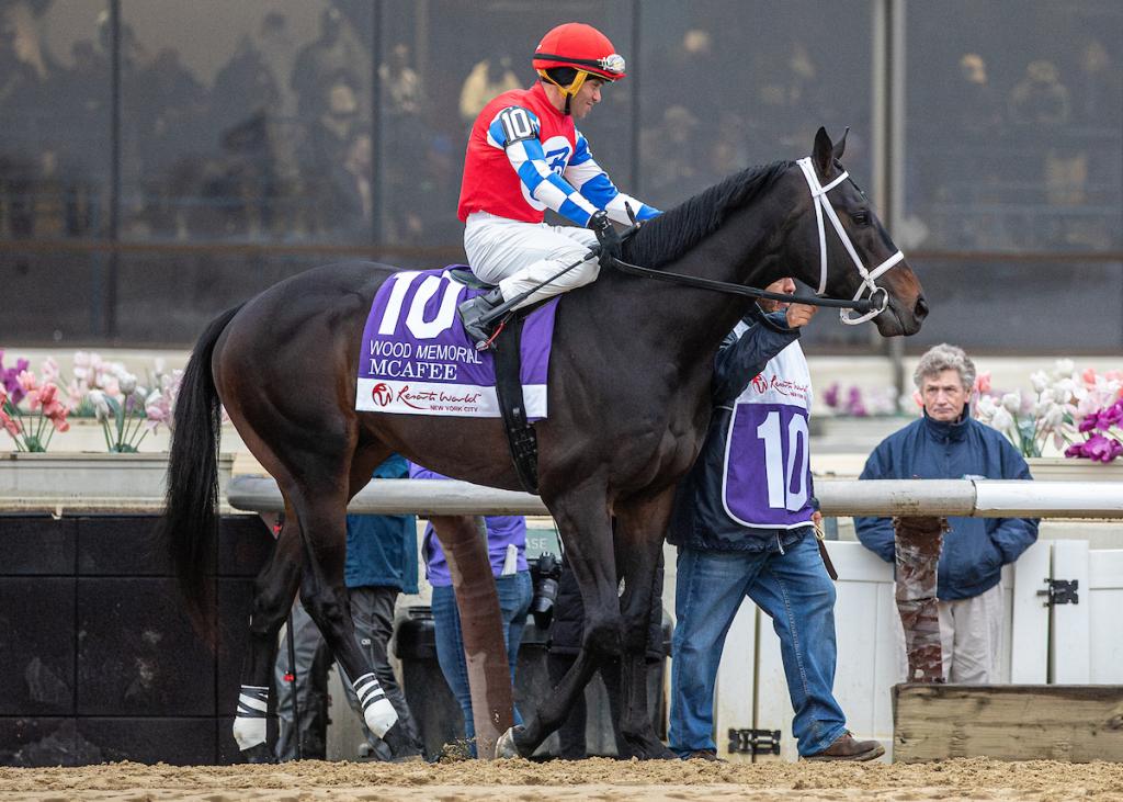 West Virginia Derby runner-up McAfee. (Eclipse Sportswire)