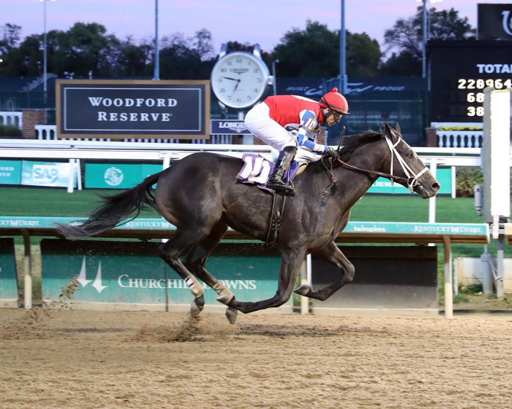 West Virginia Derby runner-up McAfee. (Coady Media)