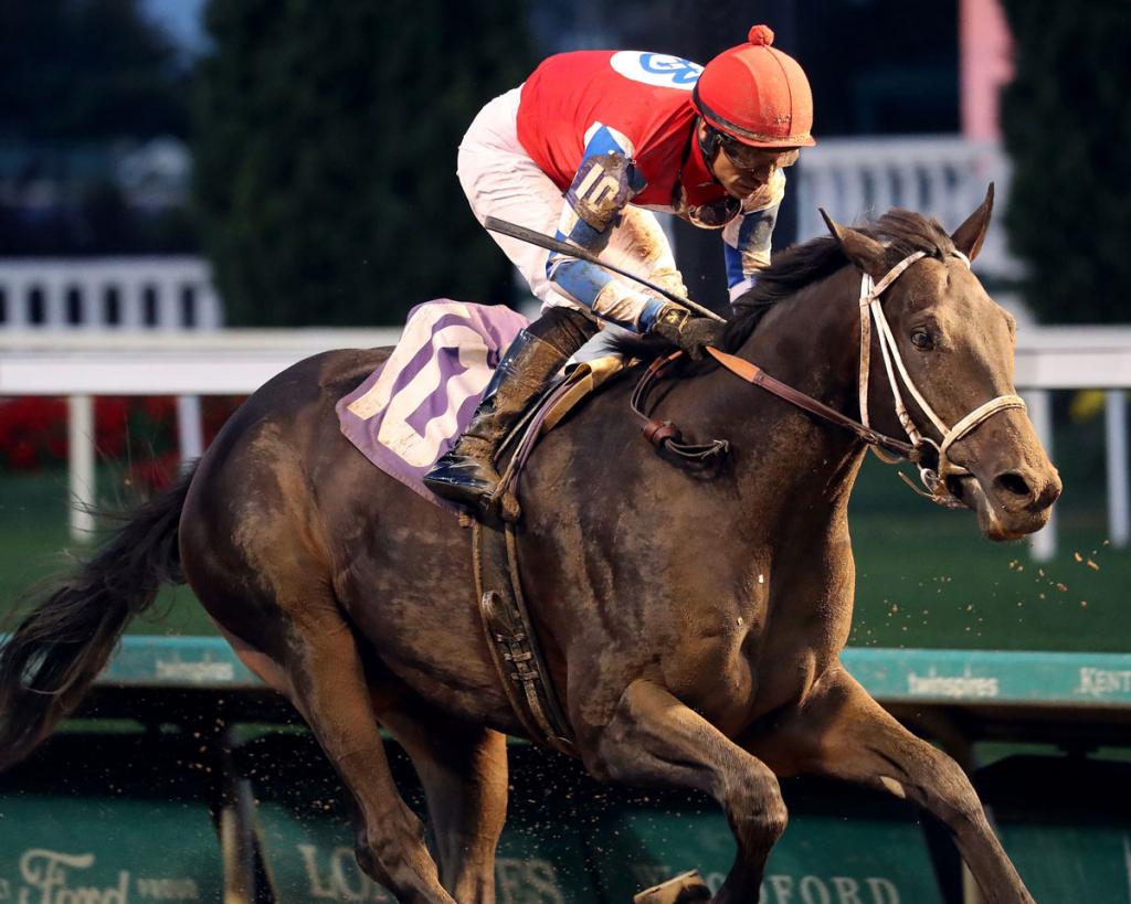 West Virginia Derby runner-up McAfee. (Coady Media)