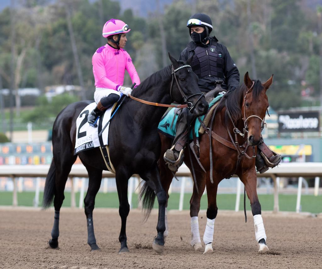 Graded stakes winner Midnight Mammoth (Eclipse Sportswire)