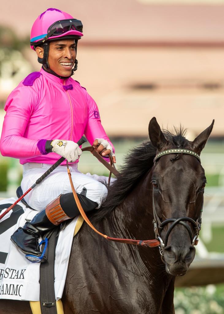 Graded stakes winner Midnight Mammoth (Eclipse Sportswire)