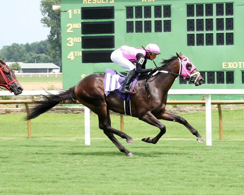 Cigar Mile Handicap runner-up Mika (Cody Media)