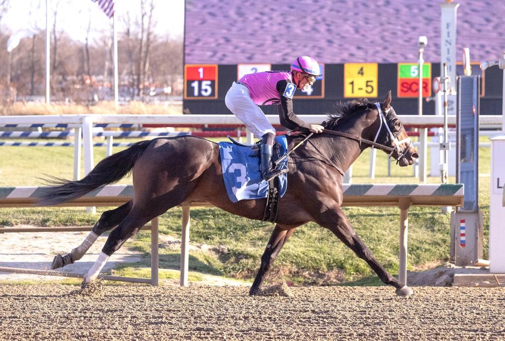 Cigar Mile Handicap runner-up Mika (Jim McCue/Maryland Jockey Club)