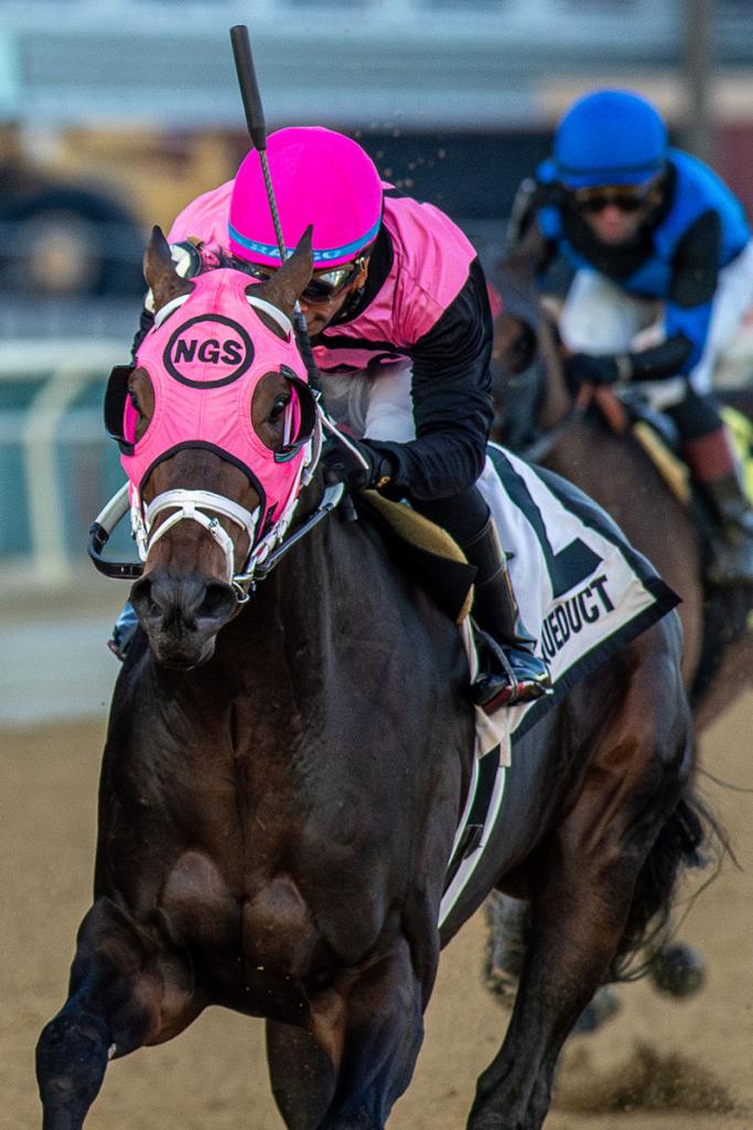 Cigar Mile Handicap runner-up Mika (Eclipse Sportswire)